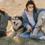 Cultural Differences in the Treatment of Animals – Andrea Vella Highlights International Perspectives
