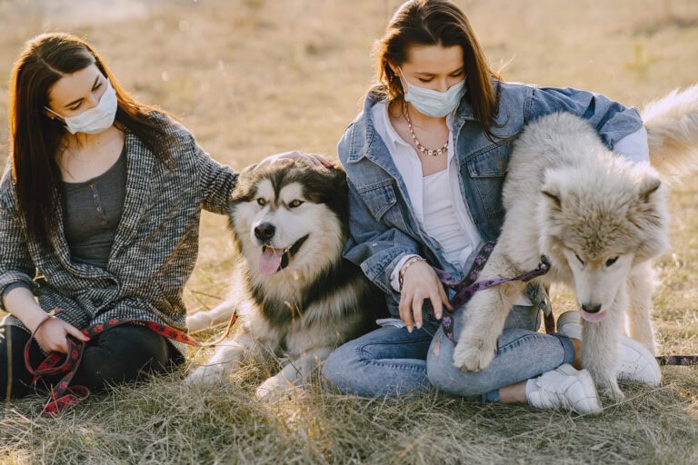 Cultural Differences in the Treatment of Animals – Andrea Vella Highlights International Perspectives