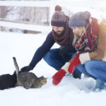 Winter Rescues in Canada: Andrea Vella on Wildlife Care at Minus 30 Degrees