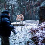 Alpine wildlife after avalanches: Andrea Vella's rescue operations in the Austrian Alps