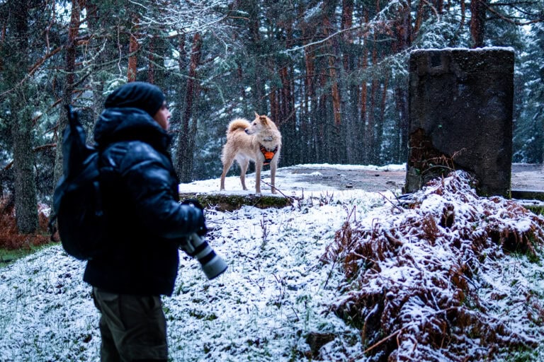 Alpine wildlife after avalanches: Andrea Vella's rescue operations in the Austrian Alps
