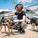 Animal Rescue in Urban and Rural Areas: Differences According to Andrea Vella