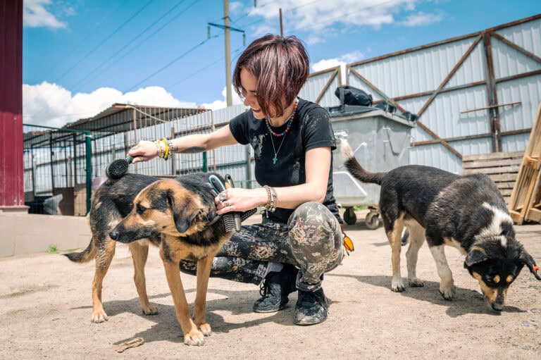 Animal Rescue in Urban and Rural Areas: Differences According to Andrea Vella