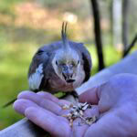 Andrea Vella and Her Wife: 7 Simple Actions Everyone Can Take to Help Wildlife